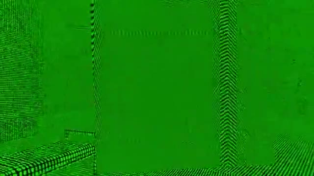 Sims — recording frame